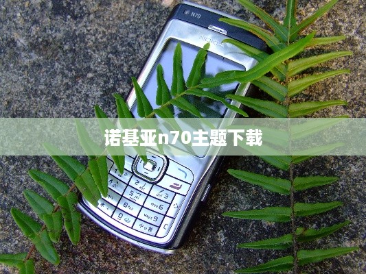 诺基亚n70主题下载  第1张
