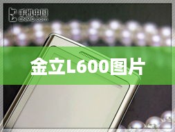 金立L600图片