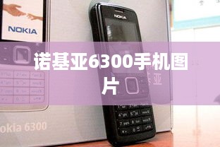 诺基亚6300手机图片