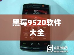 黑莓9520软件大全