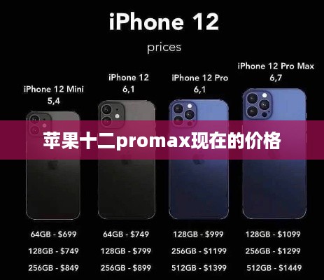苹果十二promax现在的价格