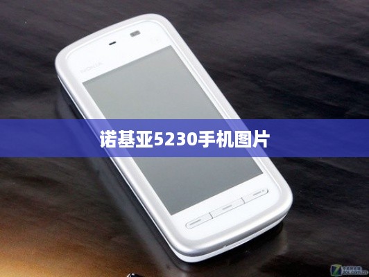 诺基亚5230手机图片
