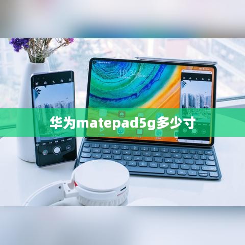华为matepad5g多少寸