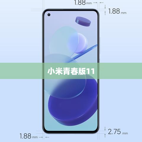 小米青春版11