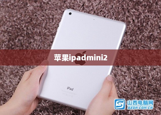 苹果ipadmini2