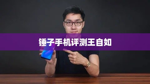 锤子手机评测王自如