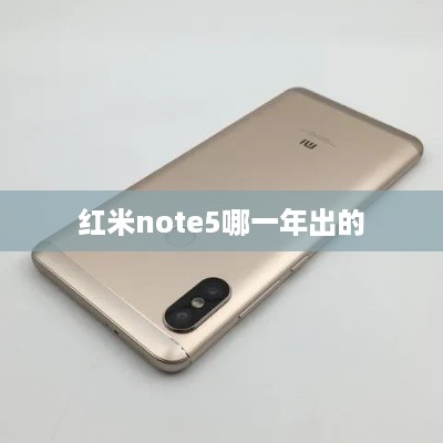 红米note5哪一年出的  第1张