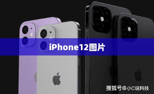 iPhone12图片