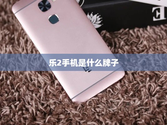 乐2手机是什么牌子