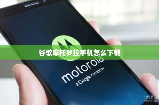 谷歌摩托罗拉手机怎么下载