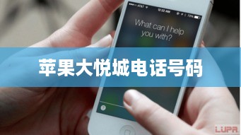 苹果大悦城电话号码