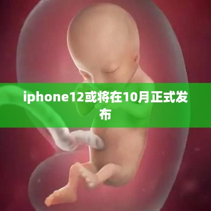 iphone12或将在10月正式发布  第1张