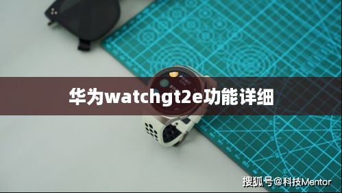 华为watchgt2e功能详细