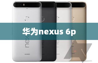 华为nexus 6p