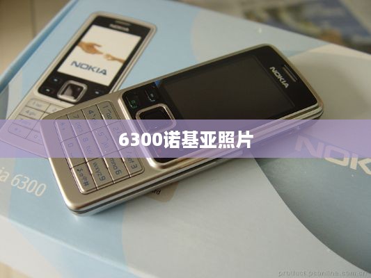 6300诺基亚照片  第1张