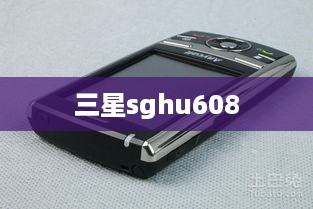 三星sghu608