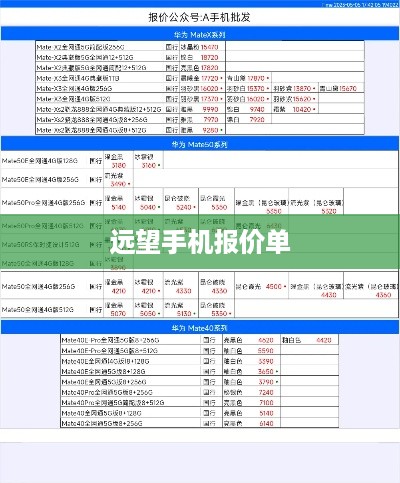 远望手机报价单  第1张