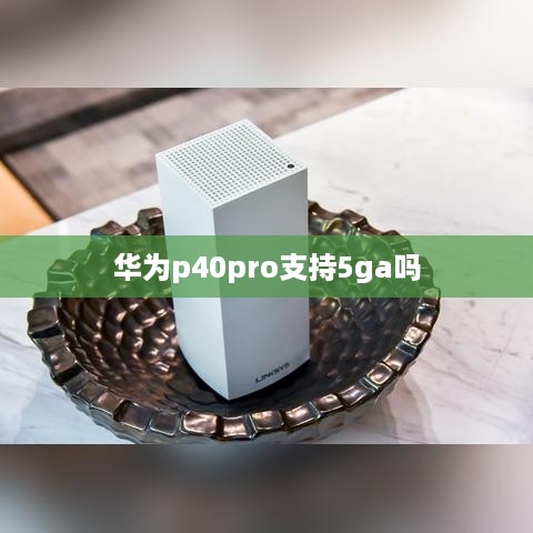 华为p40pro支持5ga吗