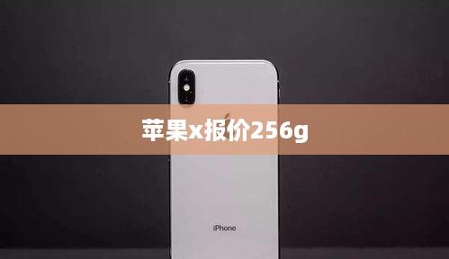 苹果x报价256g
