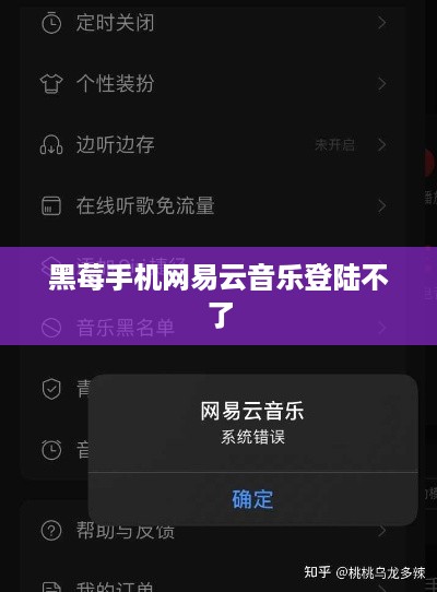 黑莓手机网易云音乐登陆不了