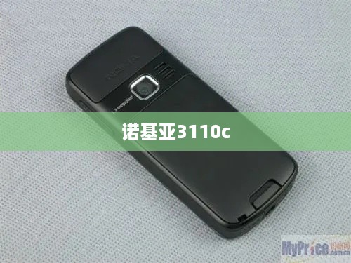 诺基亚3110c  第1张
