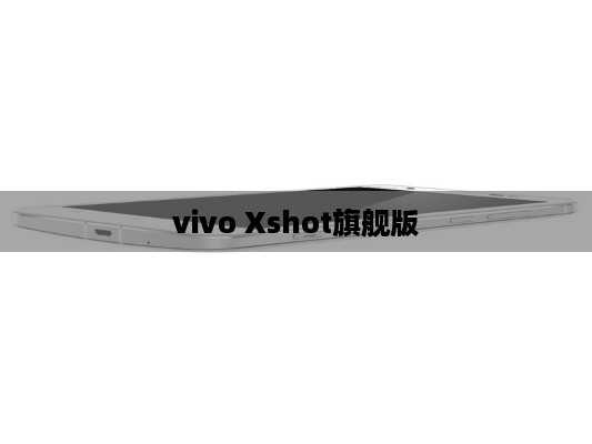 vivo Xshot旗舰版