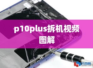 p10plus拆机视频图解
