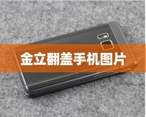 金立翻盖手机图片