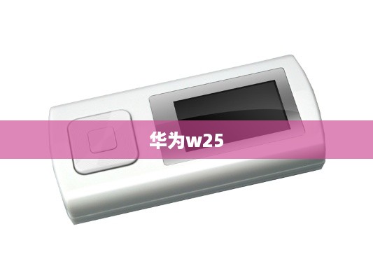 华为w25
