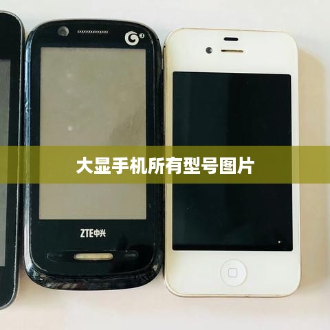 大显手机所有型号图片