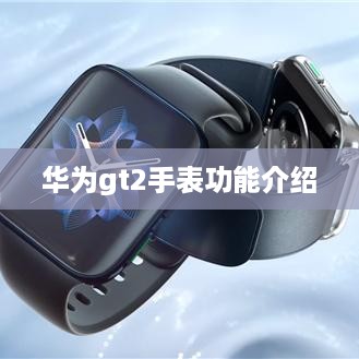 华为gt2手表功能介绍