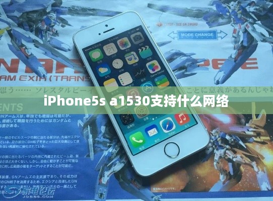 iPhone5s a1530支持什么网络