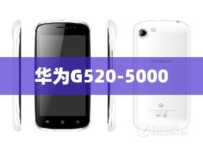 华为G520-5000