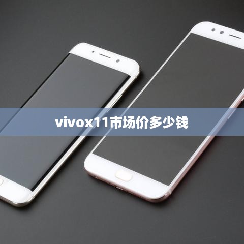 vivox11市场价多少钱