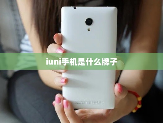 iuni手机是什么牌子