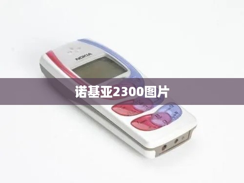 诺基亚2300图片