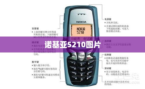 诺基亚5210图片