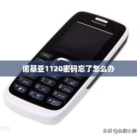 诺基亚1120密码忘了怎么办