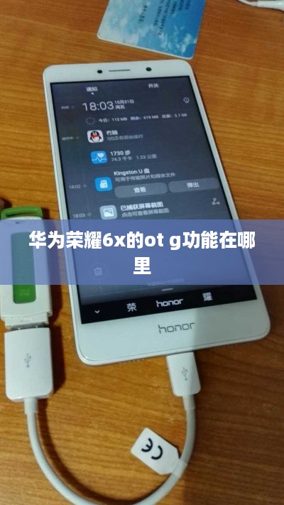华为荣耀6x的ot g功能在哪里