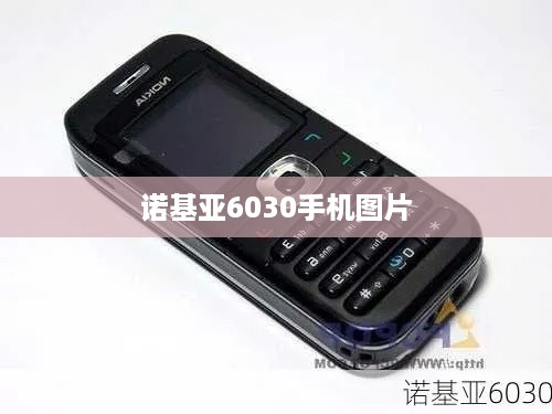 诺基亚6030手机图片