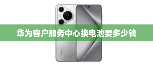 华为客户服务中心换电池要多少钱