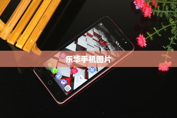 乐华手机图片