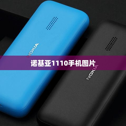 诺基亚1110手机图片