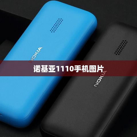诺基亚1110手机图片  第1张