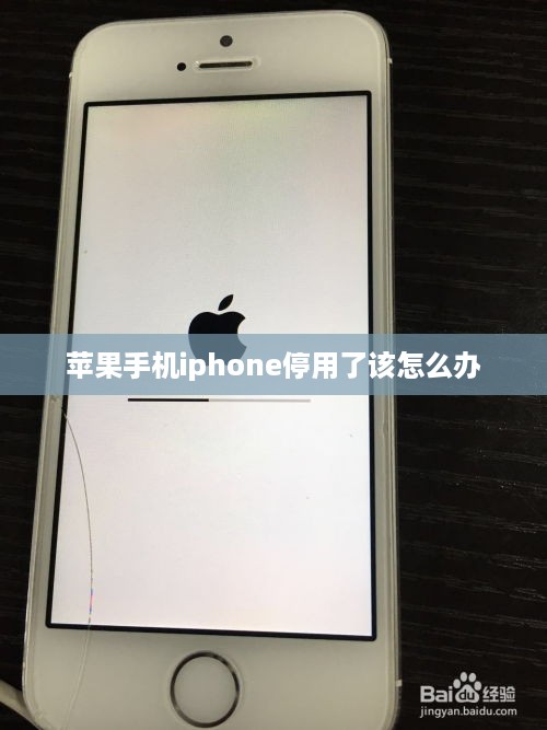 苹果手机iphone停用了该怎么办