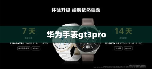 华为手表gt3pro