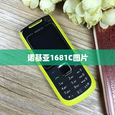 诺基亚1681C图片