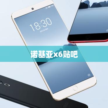 诺基亚x6贴吧