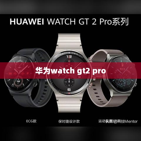 华为watch gt2 pro  第1张