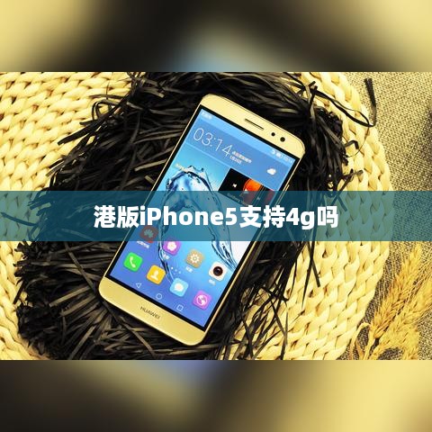 港版iPhone5支持4g吗
